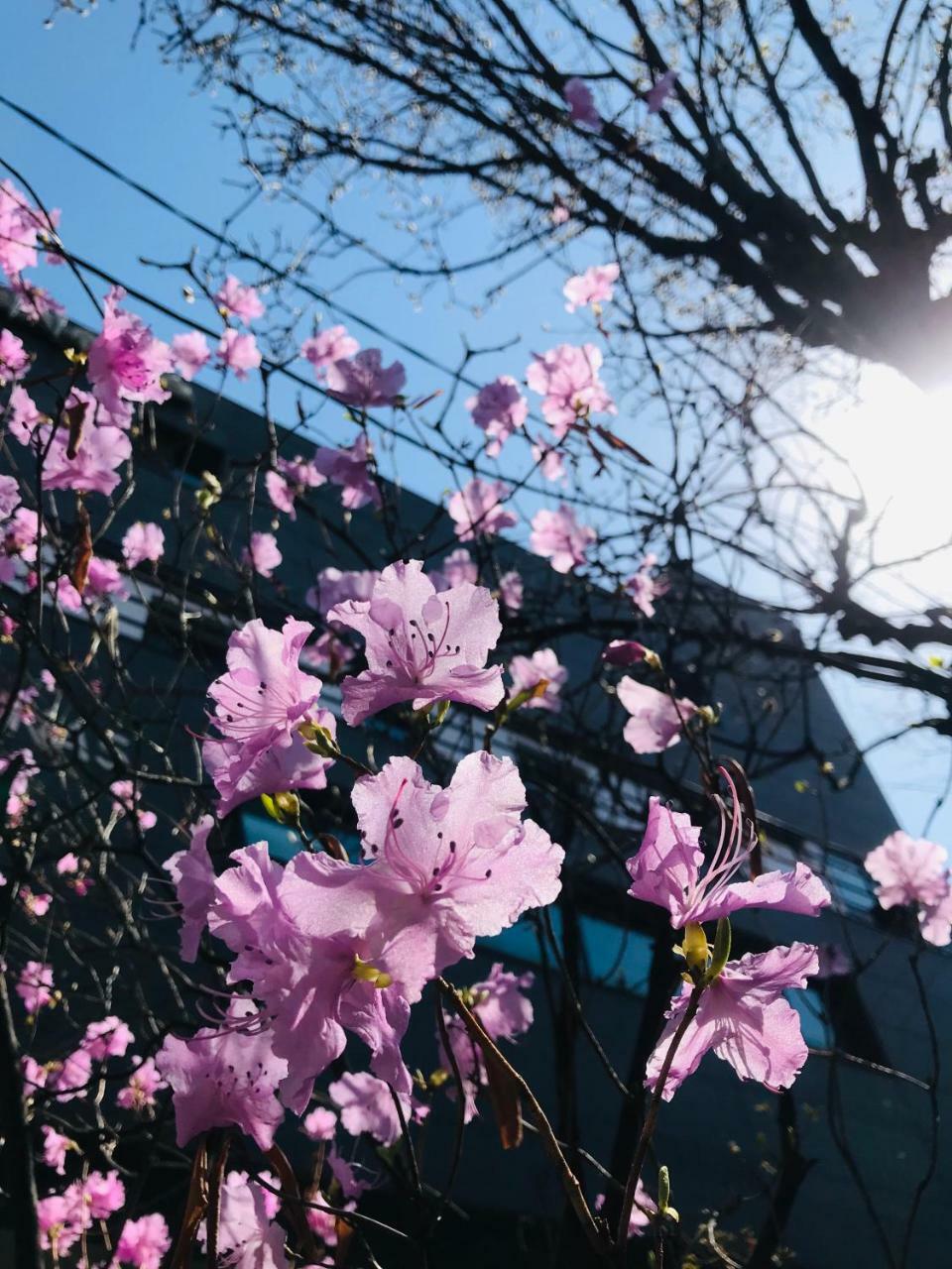 Naru Guesthouse Seoul Exterior photo